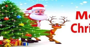 Happy Holidays – Merry Christmas & Happy New Year